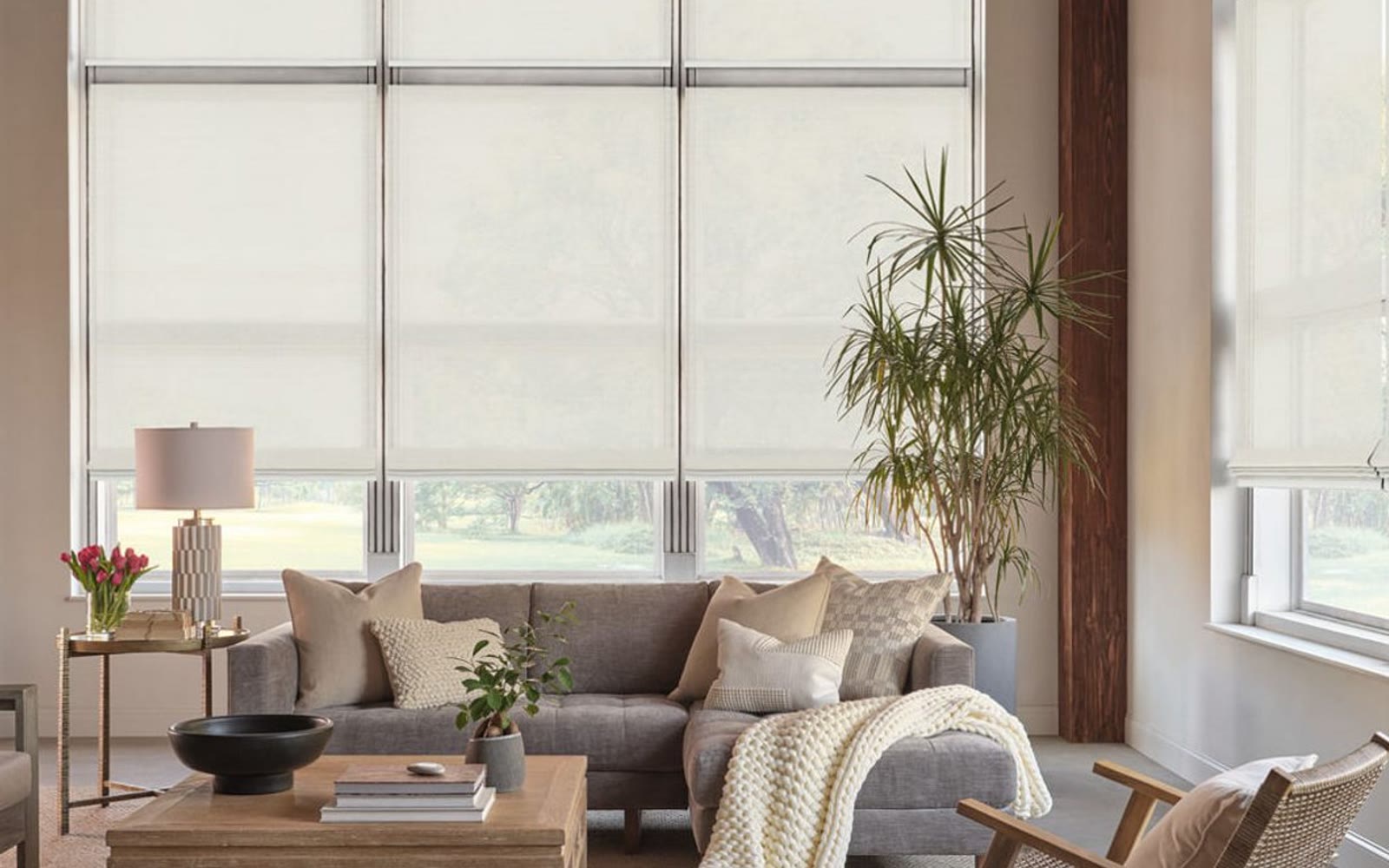Window Treatments